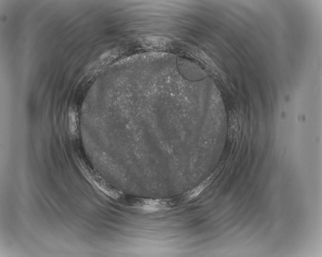 X0000085780130200704131839