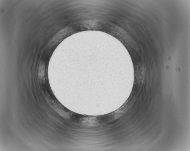 X0000085780132200704131839