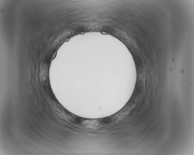 X0000085780133200704131839