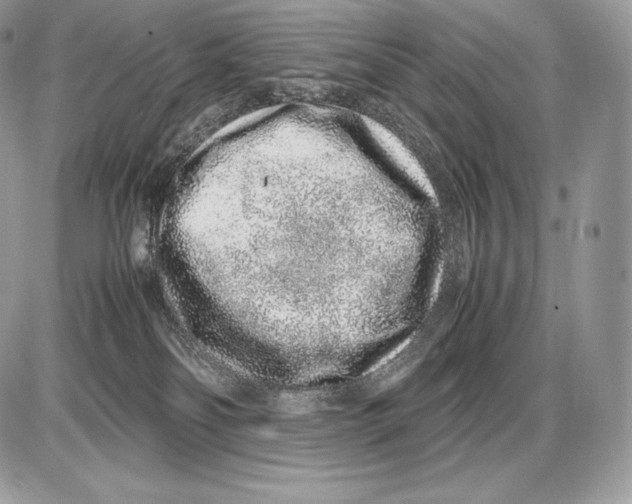 X0000085780134200704131839