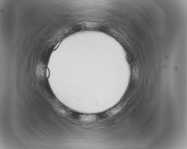 X0000085780135200704131839