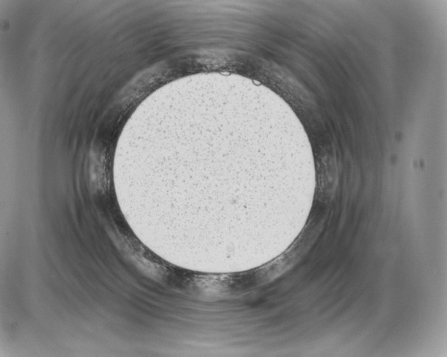 X0000085780136200704131839