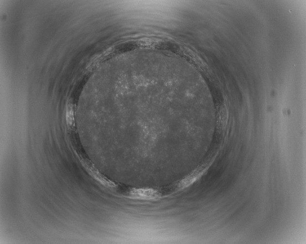 X0000085780137200704131839