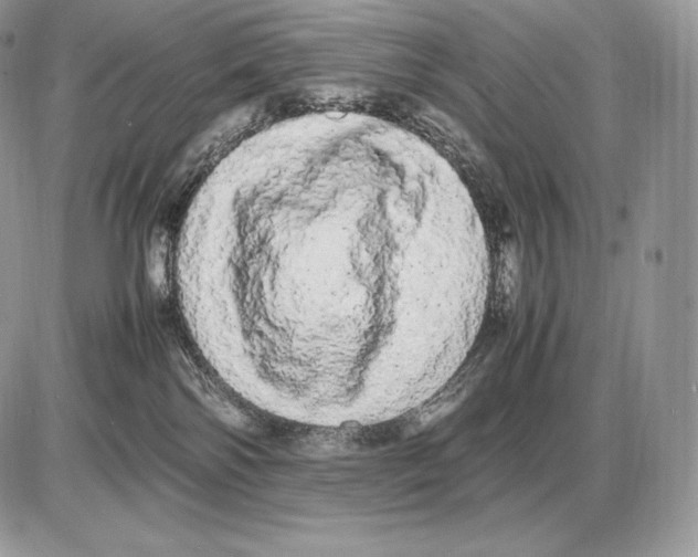 X0000085780138200704131838