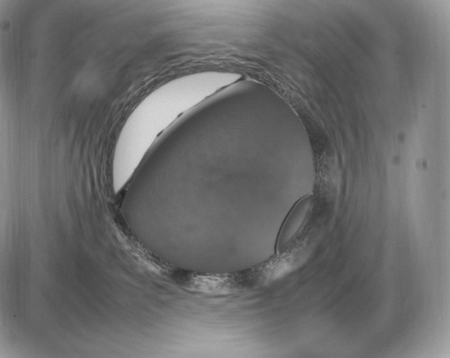 X0000085780139200704131838