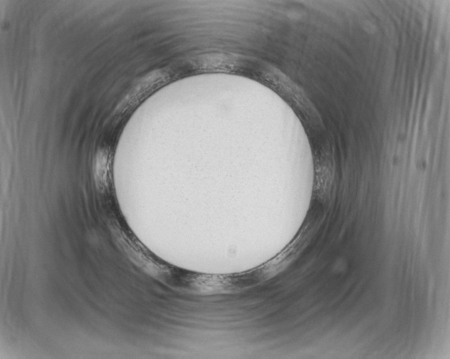 X0000085780142200704131838