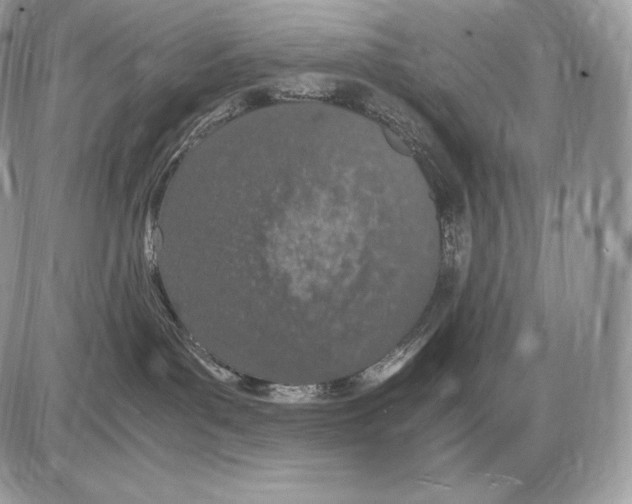 X0000085780143200704131838