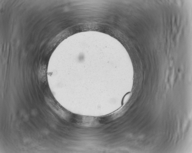 X0000085780144200704131838