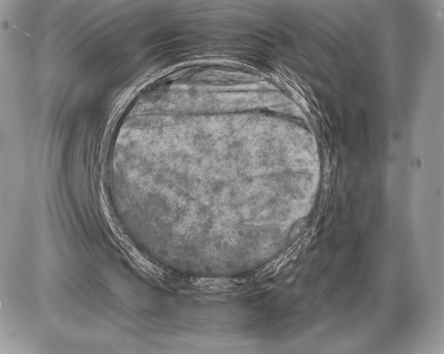 X0000085780145200704131838