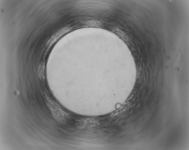 X0000085780146200704131838