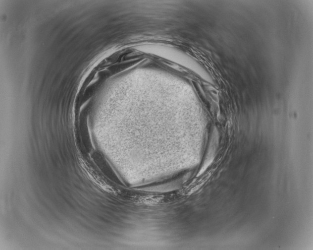 X0000085780148200704131838