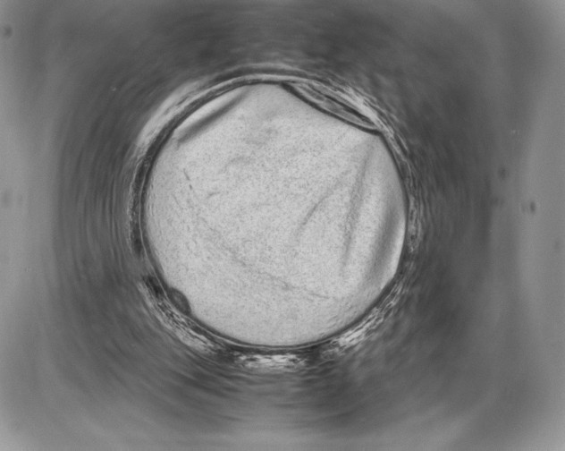 X0000085780151200704131838