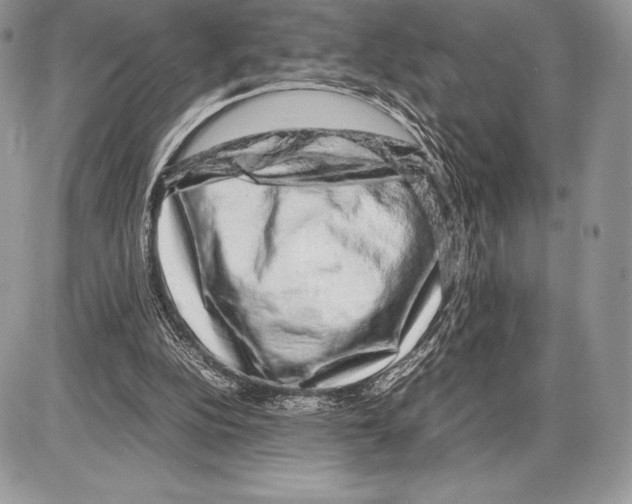 X0000085780152200704131838