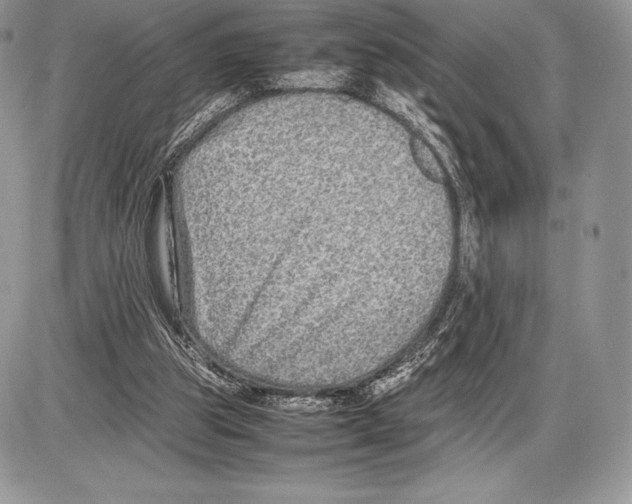 X0000085780153200704131838