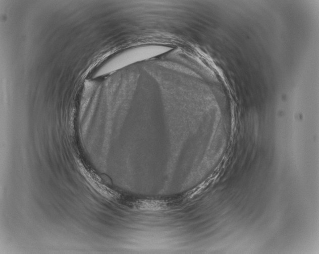 X0000085780154200704131838