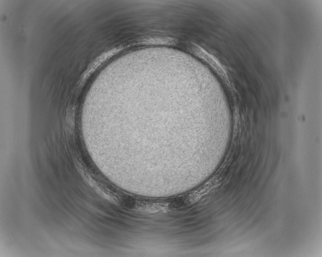 X0000085780155200704131838