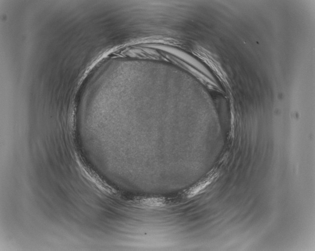 X0000085780156200704131838