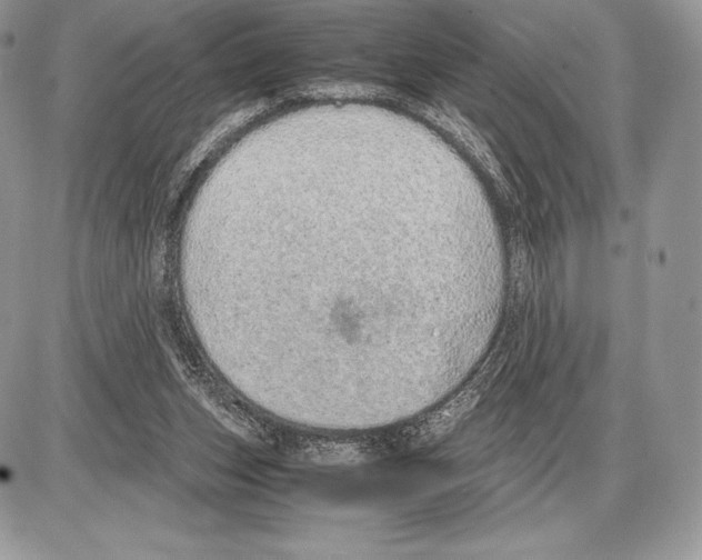 X0000085780159200704131838