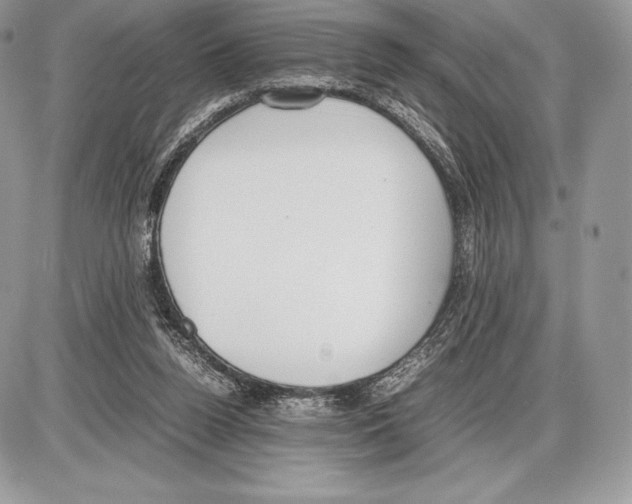 X0000085780160200704131838