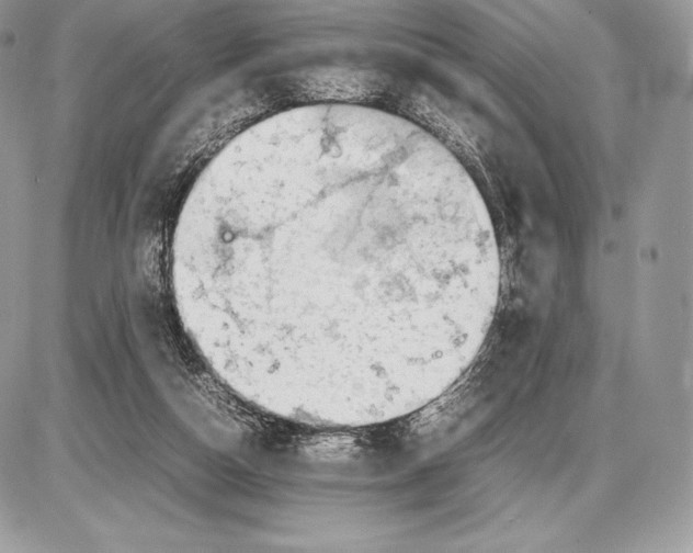 X0000085780162200704131838