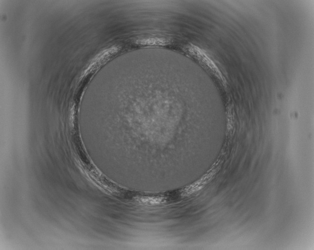 X0000085780163200704131838