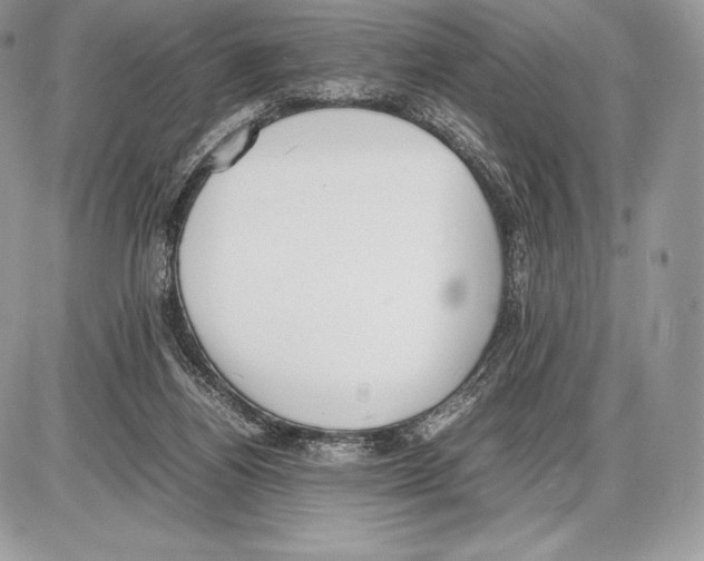 X0000085780164200704131838