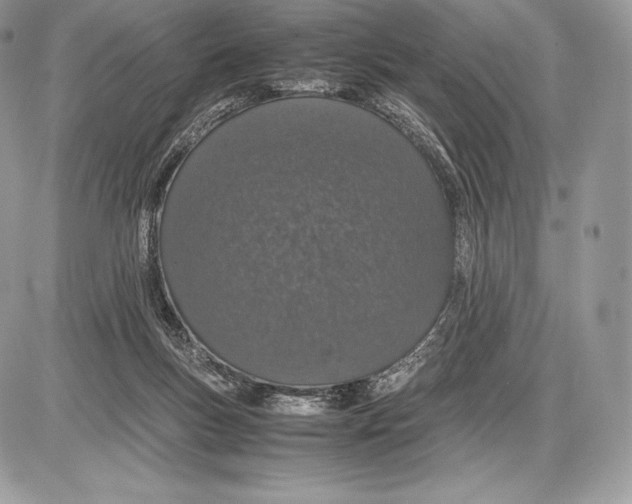 X0000085780167200704131838