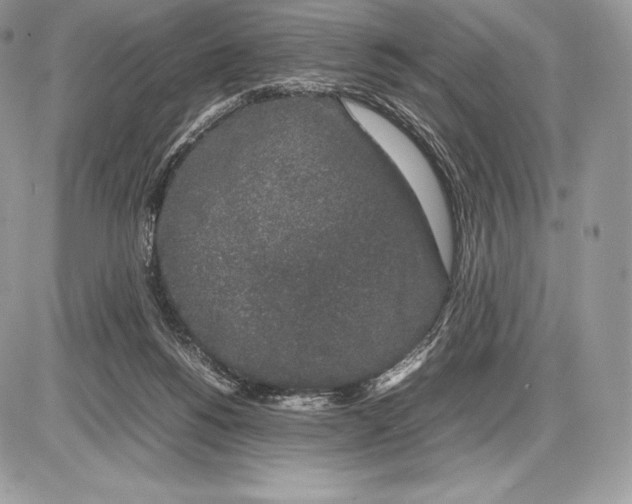 X0000085780168200704131838