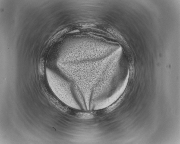 X0000085780170200704131838