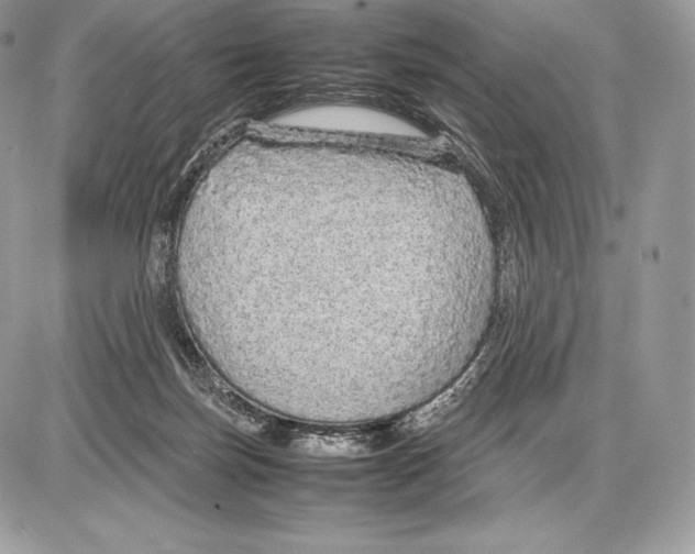 X0000085780171200704131838