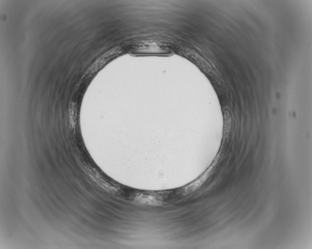 X0000085780174200704131838