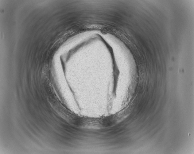 X0000085780175200704131838