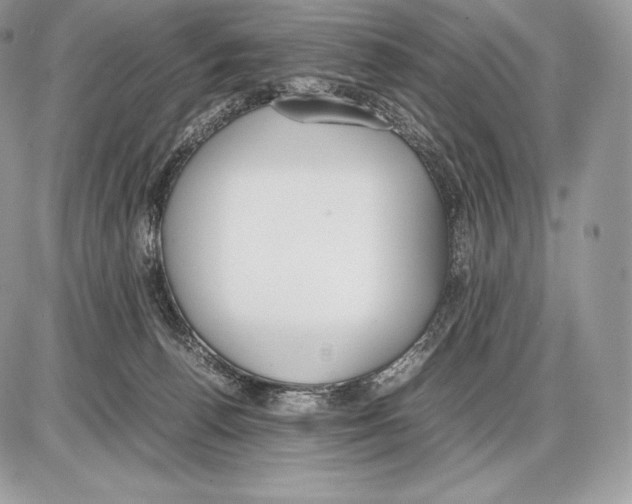 X0000085780176200704131838