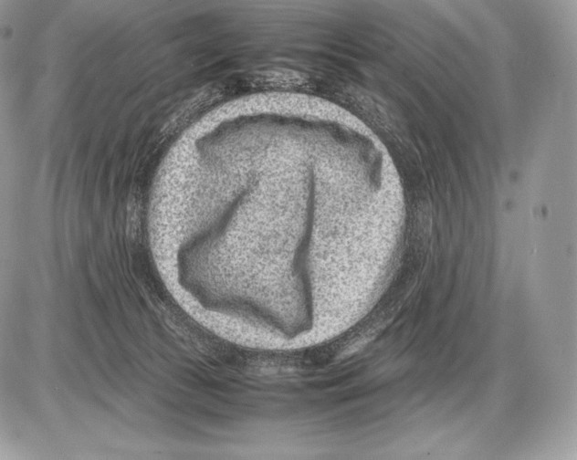 X0000085780177200704131838