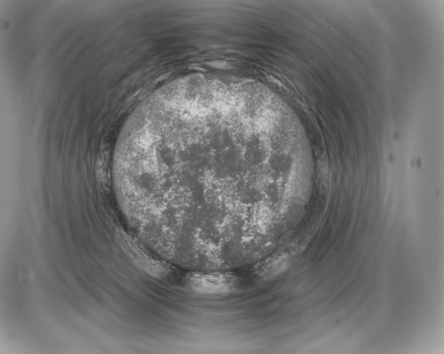 X0000085780181200704131838