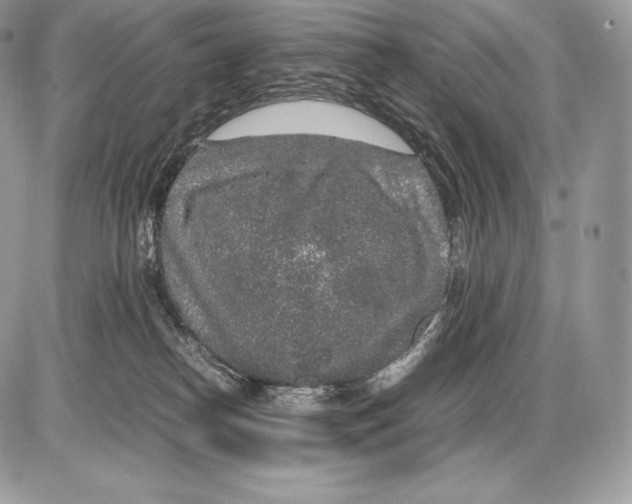 X0000085780182200704131838