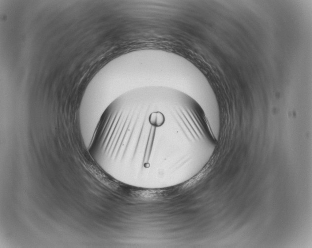 X0000085780184200704131838