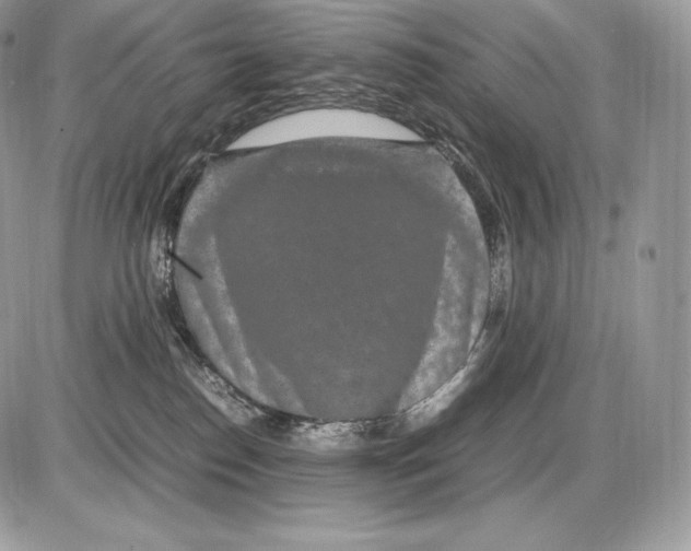 X0000085780186200704131838