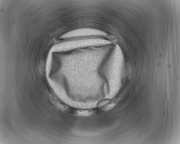 X0000085780189200704131838