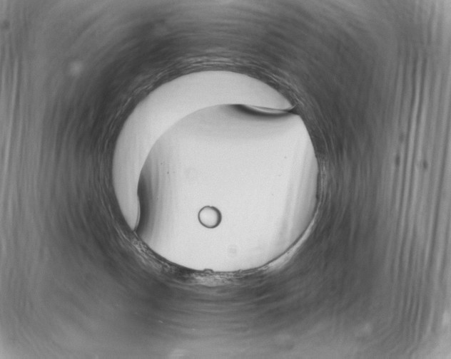 X0000085780190200704131838