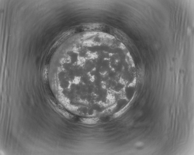 X0000085780191200704131838