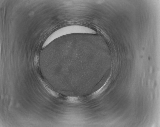 X0000085780192200704131838