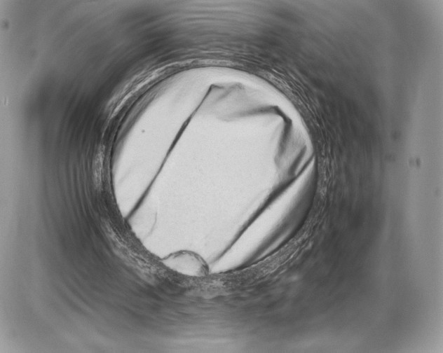 X0000085780194200704131838