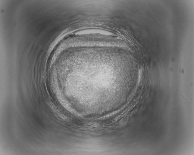 X0000085780195200704131838