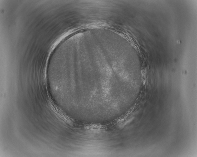 X0000085780196200704131838