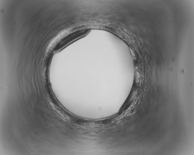 X0000085780197200704131838