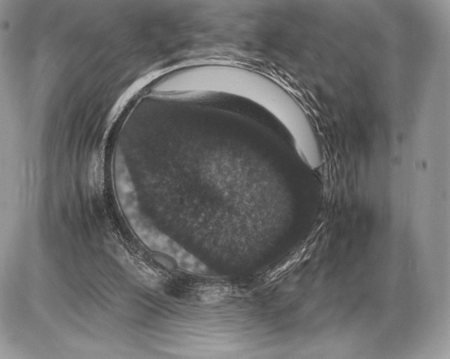 X0000085780200200704131837