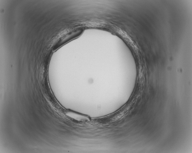 X0000085780201200704131837