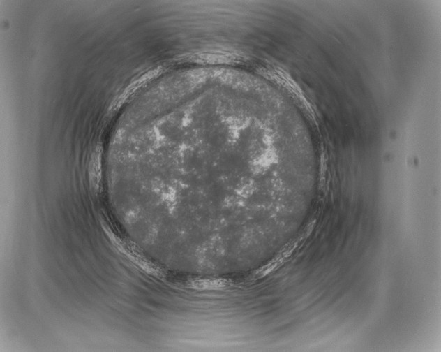 X0000085780202200704131837