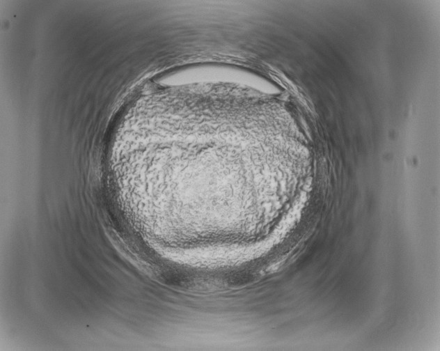 X0000085780203200704131837